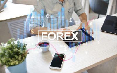 self education forex
